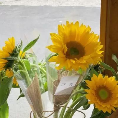 皇冠新体育APP下载