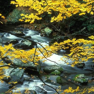 beat365手机版官方网站